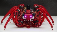 Bubi tuzaklarına &#039;Örümcek Robotlu&#039; çözüm