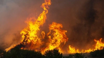 Bulgaristan'da ormanlık alanda &ccedil;ıkan yangına m&uuml;dahale ediliyor