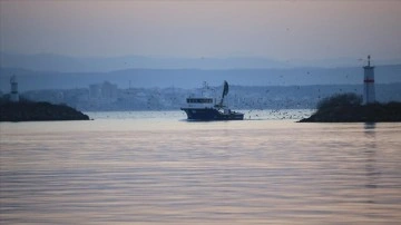 Bulgaristan-Kefken arasındaki Karadeniz sularında her türlü balık avcılığı durduruldu