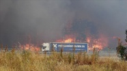 Bulgaristan-Türkiye sınırındaki yangın kısmen kontrol altına alındı