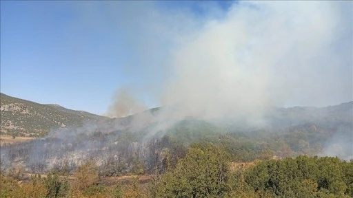 Burdur'da ormanlık alanda çıkan yangın kontrol altına alındı