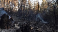 Burdur'daki orman yangınının mangaldan çıktığı tespit edildi