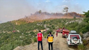 Burdur'daki orman yangınına havadan ve karadan müdahale sürüyor