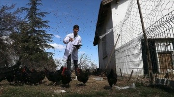 Burdur'daki tarım lisesi, hayvancılık alanında da yetkin bireyler yetiştiriyor