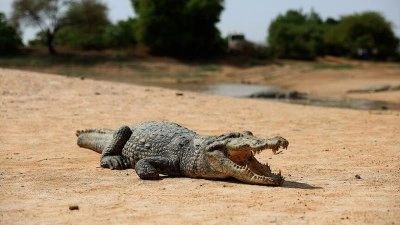 Burkina Faso'daki "timsahlı k&ouml;y" ziyaret&ccedil;ilerin ilgisini &ccedil;ekiyor