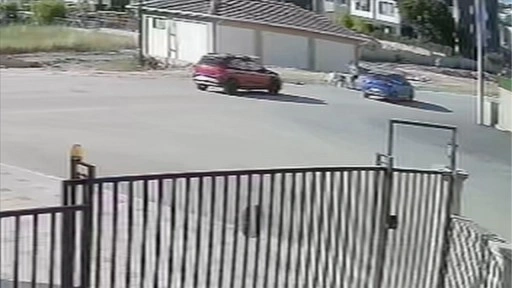 Bursa'da köpeğini gezdiren kadına başka köpeklerin saldırması güvenlik kamerasında