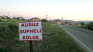 Bursa'da kuduz karantinası