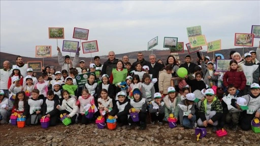 Bursa'da yanan alanların yeniden yeşillenmesi için tohum atıldı