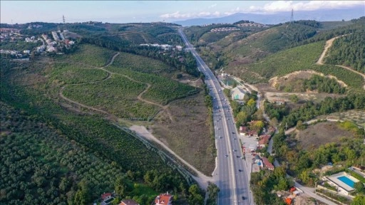 Bursa'da yıllar önce yanan ormanlık alanlar yeniden yeşeriyor