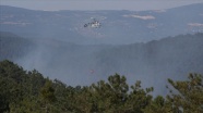 Bursa'daki orman yangını tamamen kontrol altına alındı