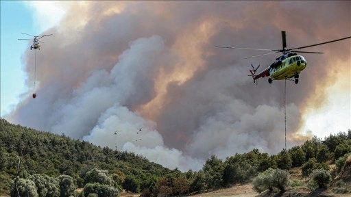Bursa ve Hatay'daki orman yangınlarına müdahale ediliyor