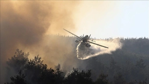 Bursa ve Kahramanmaraş'taki orman yangınlarına müdahale 3. gününde sürüyor
