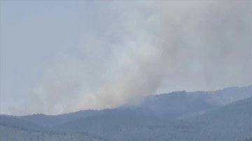 Bursa'da çıkan orman yangınına müdahale ediliyor