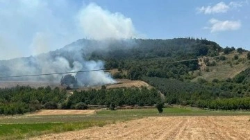 Bursa'da ormanlık alanda çıkan yangın söndürüldü