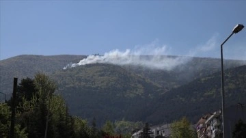 Bursa'da, Uludağ eteklerinde orman yangını çıktı
