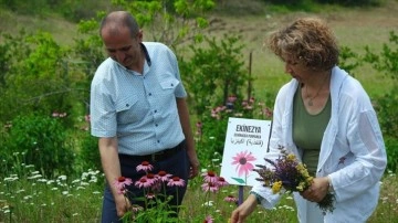 Bursalı doktorun Nilüfer'deki 10 dönümlük tıbbi aromatik bahçesi doğaseverleri ağırlıyor