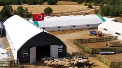 &Ccedil;adır ağıl desteğiyle b&uuml;y&uuml;tt&uuml;ğ&uuml; işinde k&uuml;&ccedil;&uuml;kbaş hayvan sayısını artırdı