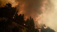 California&#039;daki &#039;Caldor&#039; yangını 756 kilometrekare alanı tahrip etti