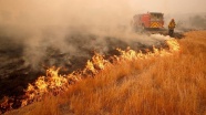 California'daki orman yangınlarında bilanço ağırlaşıyor