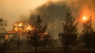 California'daki yangın yayılıyor