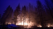 California&#039;daki yangında yok olan ormanlık alan 200 bin hektara yaklaştı