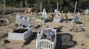 "Can dostlarını" yitirenler hayvan mezarlığında teselli buluyor