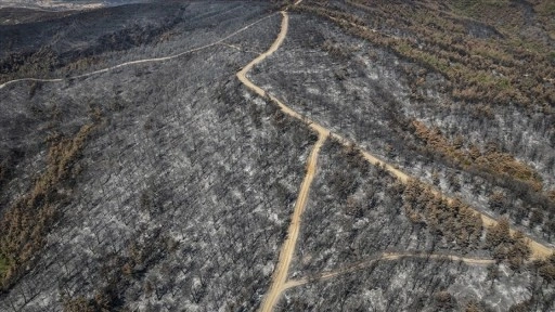 Çanakkale'de 118 orman yangınında 7 bin 39 hektar alan zarar gördü