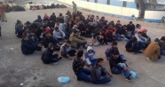 Çanakkale’de 181 kaçak göçmen yakalandı
