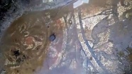 Çanakkale’de kaçak kazıda zemin mozaiği ortaya çıktı