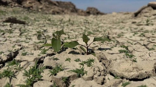 Çanakkale'de olağanüstü kuraklık hem barajlardaki suyu hem de tarımsal verimi düşürdü