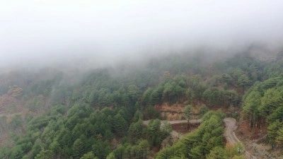 &Ccedil;anakkale'de ormanlara girişler yasaklandı
