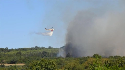 Çanakkale'de tarım arazisinde çıkan yangın kontrol altına alındı