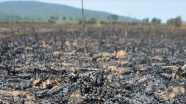 Çanakkale&#039;deki orman yangınına tarım arazisinde yakılan ateşin neden olduğu iddiası araştırılıyor
