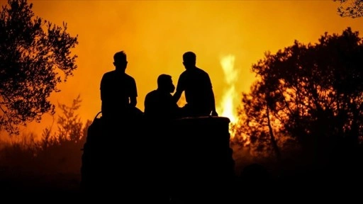 Çanakkale'deki orman yangınlarına müdahale 2. gününde sürüyor
