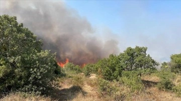 Çanakkale'de ağaçlık alanda yangın çıktı