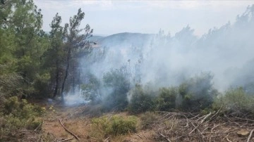 Çanakkale'de yıldırım isabet eden ormanlık alanda yangın çıktı