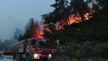 Çanakkale'deki orman yangını büyük ölçüde kontrol altına alındı
