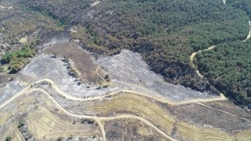 Çanakkale'deki orman yangınında 2 bin 500 hektar alanın zarar gördüğü belirlendi