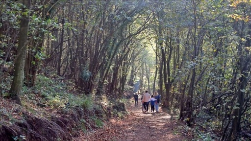 Canik Ekoturizm Alanı ve Doğa Yürüyüş Parkuru doğaseverleri ağırlıyor