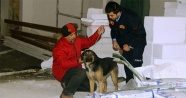 Çatıda mahsur kalan köpekleri itfaiye kurtardı