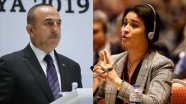 Çavuşoğlu dış politikada Türk halkının sesi oldu