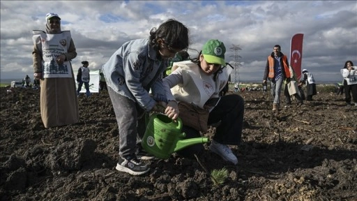 Cemre Vakfı gönüllüleri 10 bin fidan dikti