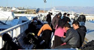 Çeşme'de 54 Suriyeli göçmen yakalandı