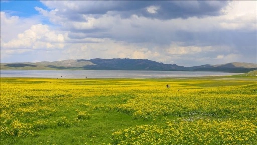 Çevresi sarı çiçeklerle renklenen Van'daki Keşiş Gölü, ziyaretçilerini ağırlıyor