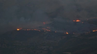 Cezayir&rsquo;de 15 vilayette 26 yangını s&ouml;nd&uuml;rme &ccedil;alışmaları s&uuml;r&uuml;yor