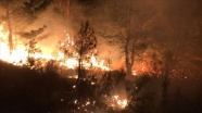 Cezayir&#039;deki orman yangınlarında hayatını kaybedenlerin sayısı 65&#039;e yükseldi