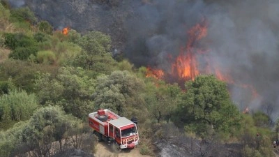 Cezayir'in &ccedil;eşitli b&ouml;lgelerinde &ccedil;ıkan yangınlara havadan ve karadan m&uuml;dahale ediliyor