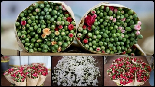Çiçek ihracatında çeşitlilik arttı