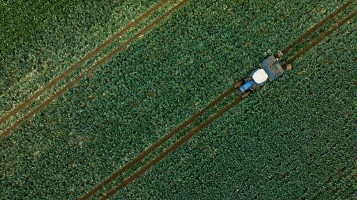 Çiftçilere 1,1 milyar liralık tarımsal destekleme ödemesi bugün yapılacak