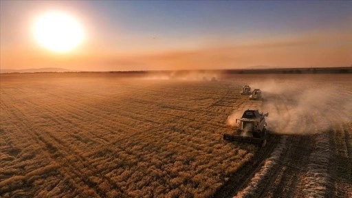 Çiftçilere 331 milyon 664 bin lira tarımsal destek ödemesi bugün yapılacak